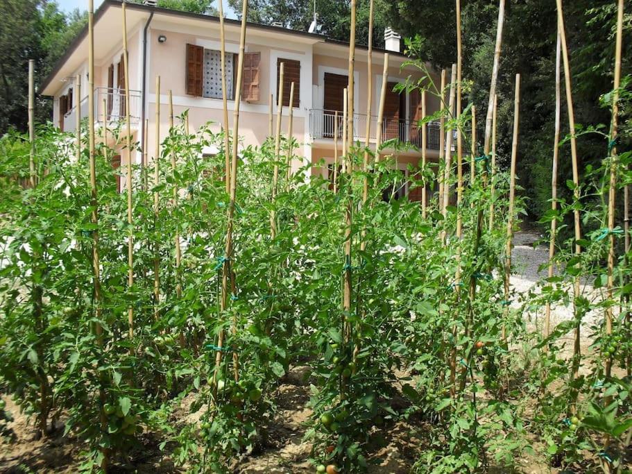 Apartment In Nature,10Min From City Perugia Exterior photo