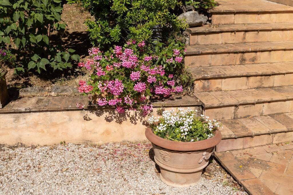 Apartment In Nature,10Min From City Perugia Exterior photo